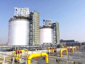 龙泉 lng液化工厂设备厂家定做加工 lng液化工厂